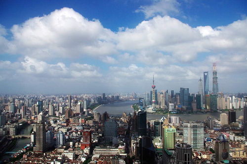 上?！毒W絡文化經營許可證》辦理全流程指南